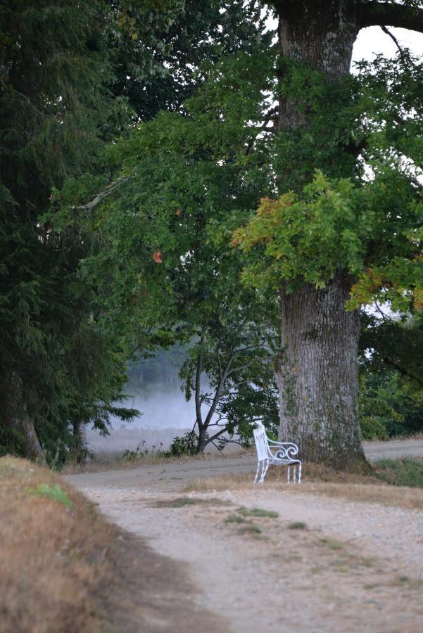 Bed and Breakfast Domaine De Bort Saint-Priest-Taurion Esterno foto